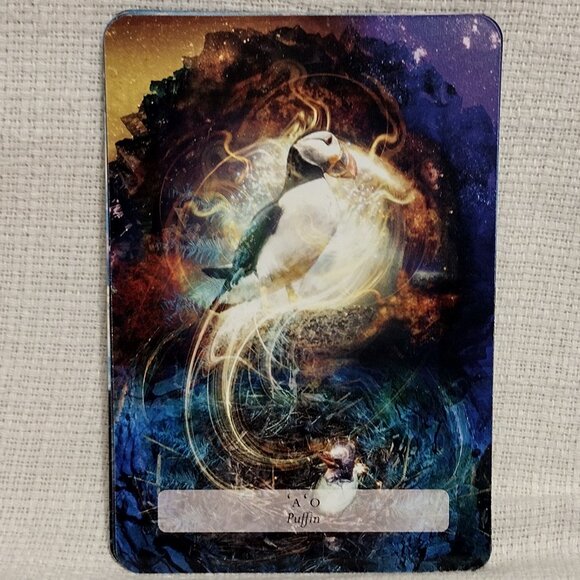 The Hawaiian Oracle - Picture 12 of 14